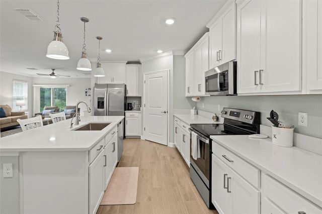 16803 FORGE SURF STREET, Land O Lakes, FL 34638