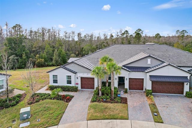 16803 FORGE SURF STREET, Land O Lakes, FL 34638