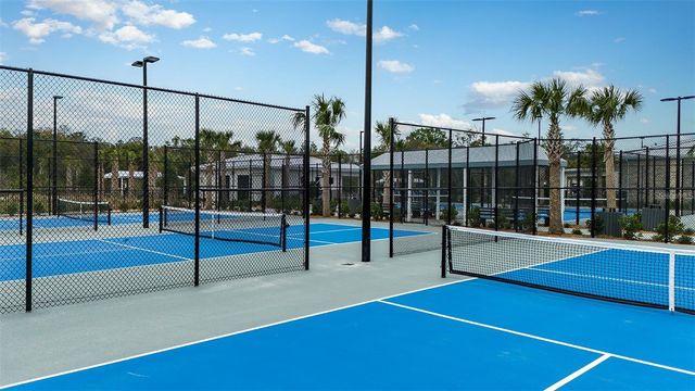 16803 FORGE SURF STREET, Land O Lakes, FL 34638