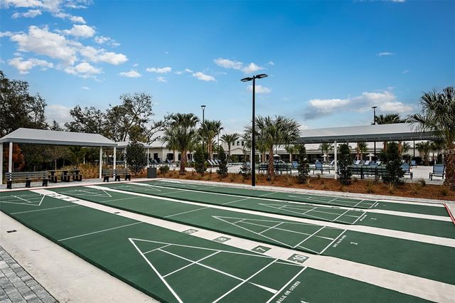 16803 FORGE SURF STREET, Land O Lakes, FL 34638