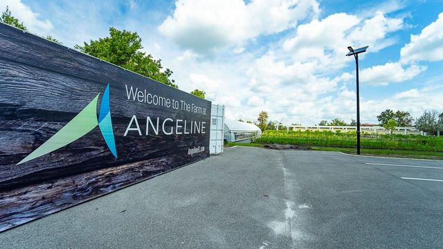 16803 FORGE SURF STREET, Land O Lakes, FL 34638