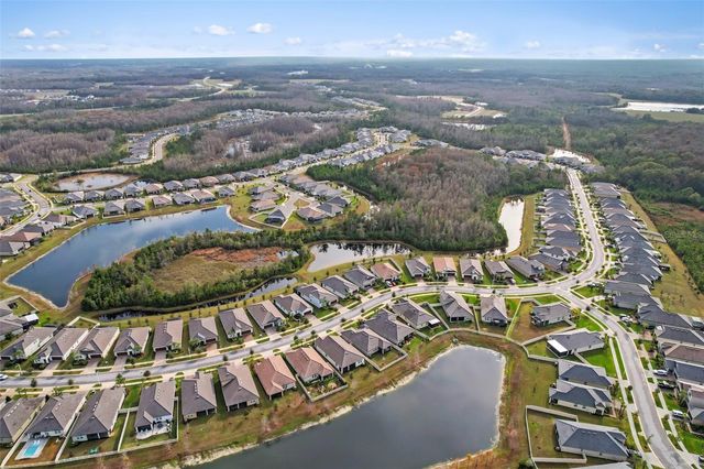 16803 FORGE SURF STREET, Land O Lakes, FL 34638