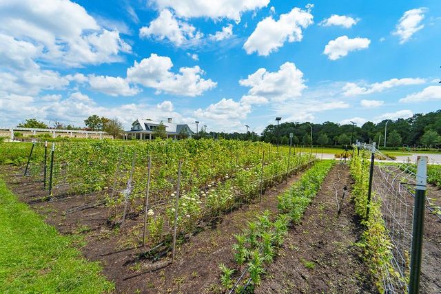 16803 FORGE SURF STREET, Land O Lakes, FL 34638