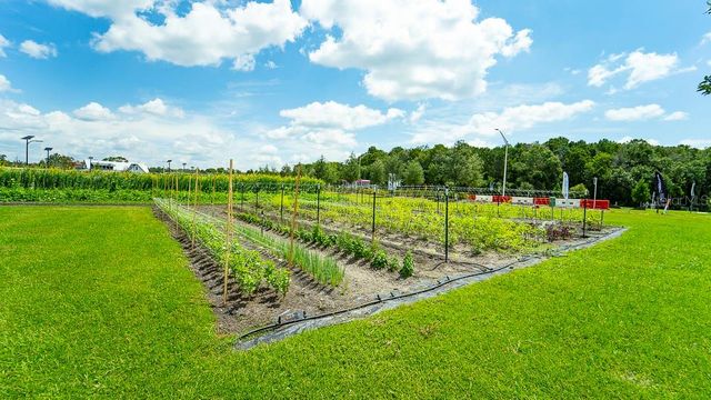 16803 FORGE SURF STREET, Land O Lakes, FL 34638