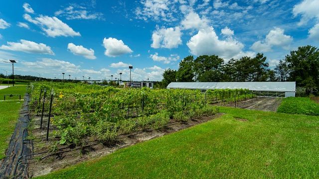 16803 FORGE SURF STREET, Land O Lakes, FL 34638