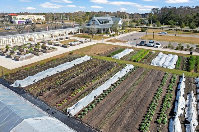 16803 FORGE SURF STREET, Land O Lakes, FL 34638