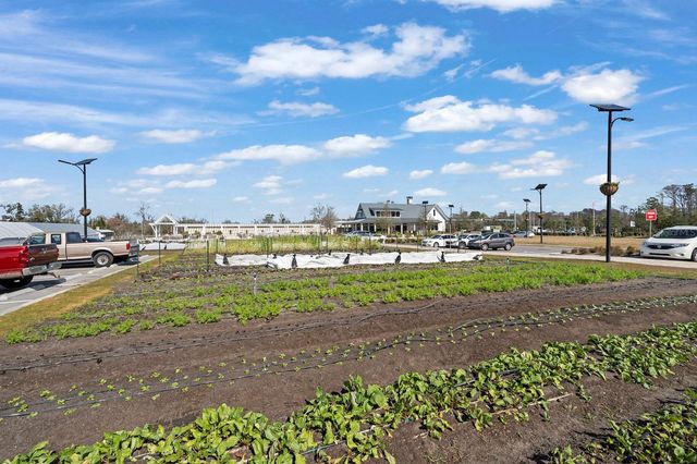 16803 FORGE SURF STREET, Land O Lakes, FL 34638