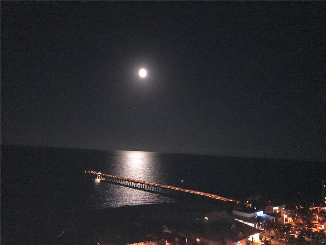 333 NE 21st Avenue 1108, Deerfield Beach, FL 33441