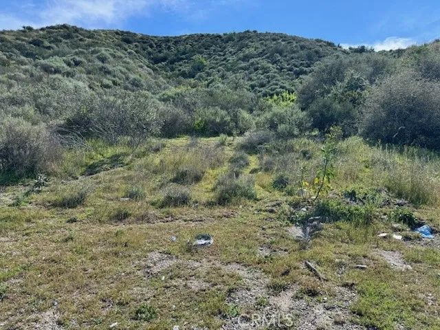17930 Scherzinger, Canyon Country, CA 91387
