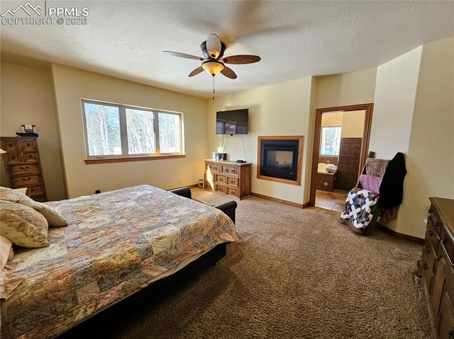 1471 County Road 51, Divide, CO 80814