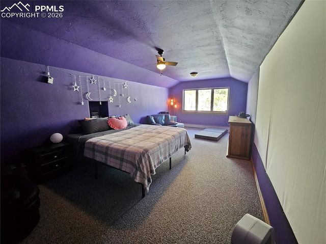 1471 County Road 51, Divide, CO 80814