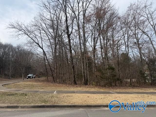 716 Marina Park Drive SE, Huntsville, AL 35803