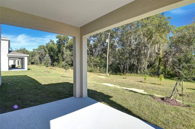 1010 CLOUD RIDGE COURT, Mount Dora, FL 32757