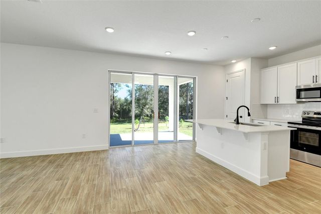1010 CLOUD RIDGE COURT, Mount Dora, FL 32757