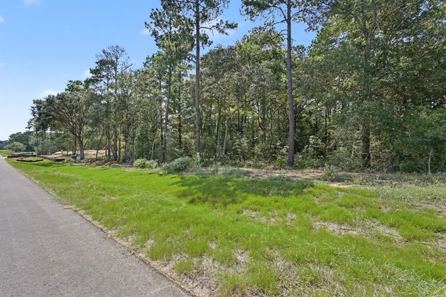 9726 Oakland Park Boulevard, Plantersville, TX 77363