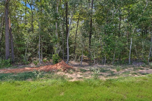 9726 Oakland Park Boulevard, Plantersville, TX 77363