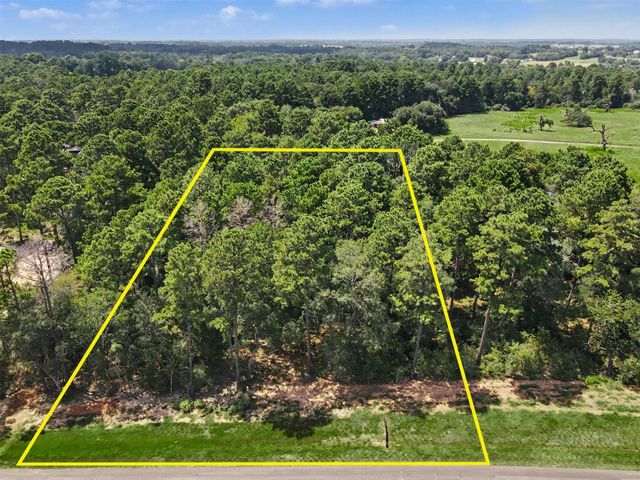 9726 Oakland Park Boulevard, Plantersville, TX 77363