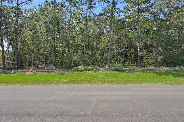 9726 Oakland Park Boulevard, Plantersville, TX 77363