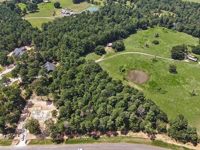 9726 Oakland Park Boulevard, Plantersville, TX 77363