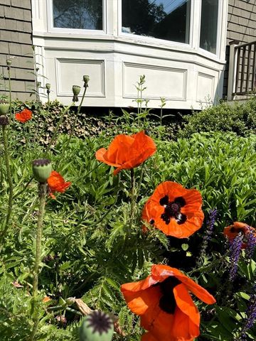 11 Lincoln St, Arlington, MA 02476