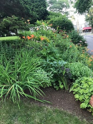 11 Lincoln St, Arlington, MA 02476