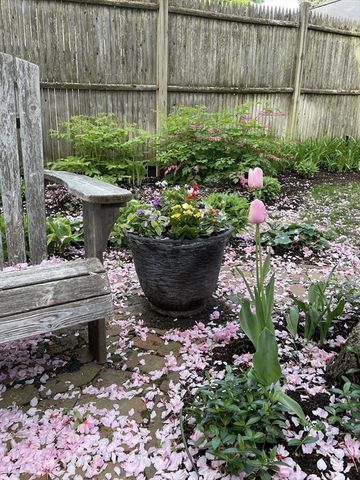 11 Lincoln St, Arlington, MA 02476