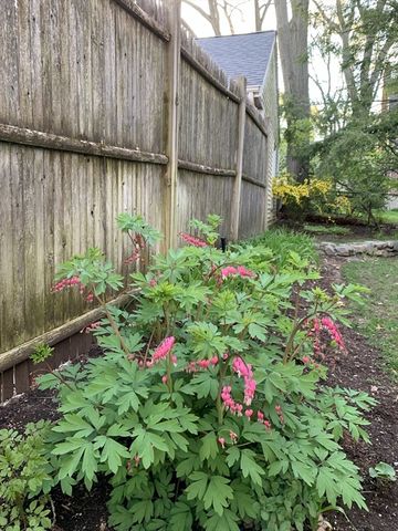 11 Lincoln St, Arlington, MA 02476