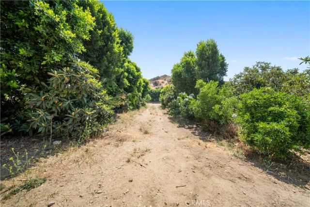 12605 Kagel Canyon Road, Sylmar, CA 91342