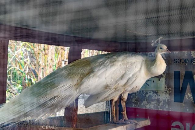 12605 Kagel Canyon Road, Sylmar, CA 91342