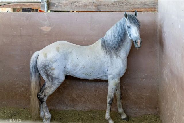 12605 Kagel Canyon Road, Sylmar, CA 91342