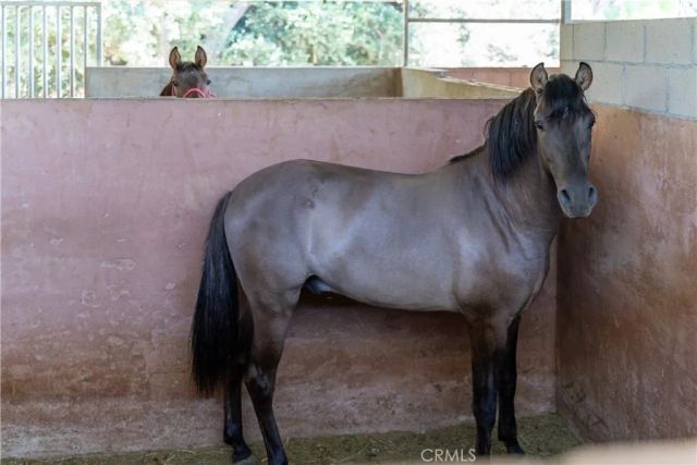 12605 Kagel Canyon Road, Sylmar, CA 91342