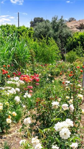 12605 Kagel Canyon Road, Sylmar, CA 91342