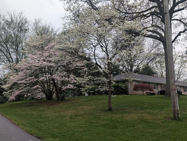 3101 Trinity Road, Lexington, KY 40503