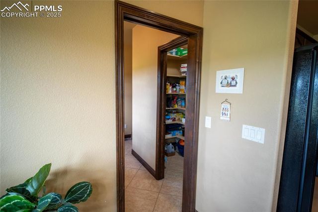 16983 Carriage Horse Drive, Colorado Springs, CO 80921