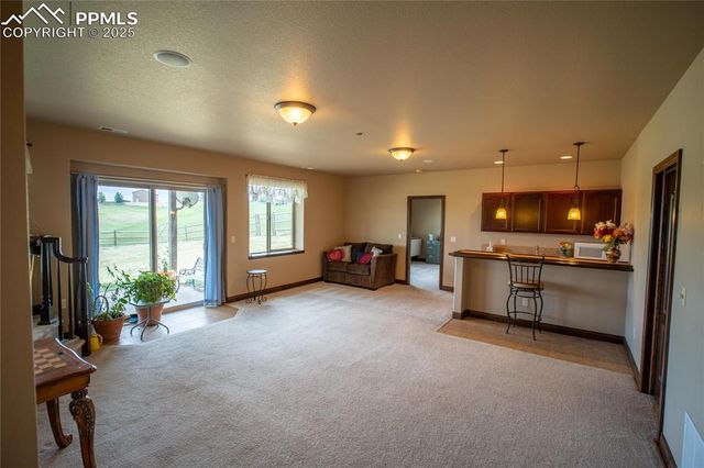 16983 Carriage Horse Drive, Colorado Springs, CO 80921