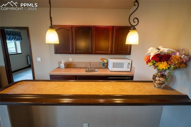16983 Carriage Horse Drive, Colorado Springs, CO 80921