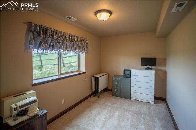 16983 Carriage Horse Drive, Colorado Springs, CO 80921