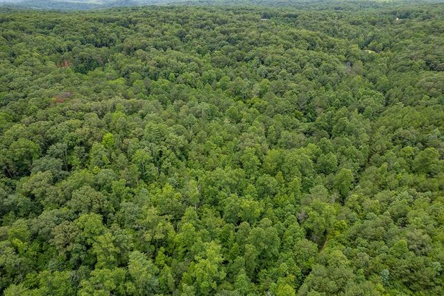 13.59 AC Ridgeway Church Road, Ellijay, GA 30540