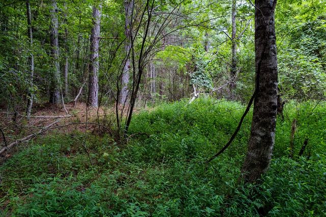 13.59 AC Ridgeway Church Road, Ellijay, GA 30540