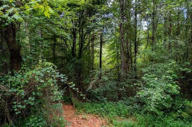 13.59 AC Ridgeway Church Road, Ellijay, GA 30540