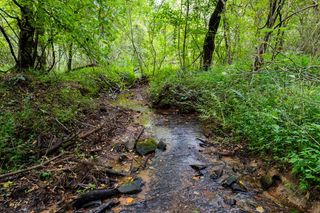 13.59 AC Ridgeway Church Road, Ellijay, GA 30540