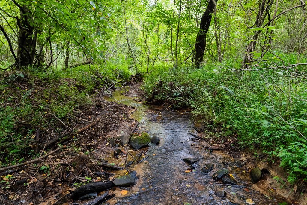 13.59 AC Ridgeway Church Road, Ellijay, GA 30540