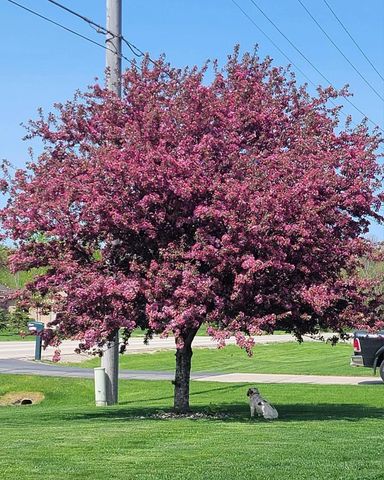 2679 LAWRENCE DRIVE, De Pere, WI 54115