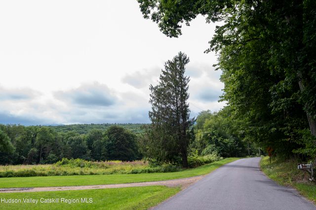 96 Stonebridge Road Extension, East Durham, NY 12423