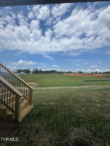 548 Larkins Farm Drive, Jonesborough, TN 37659