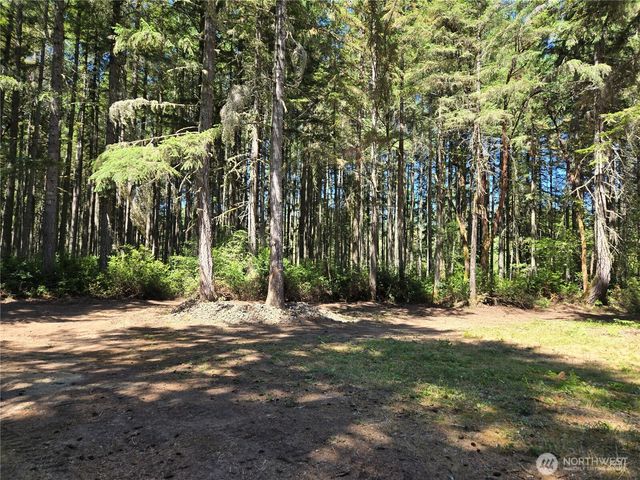 19205 30th Street SW, Lakebay, WA 98349