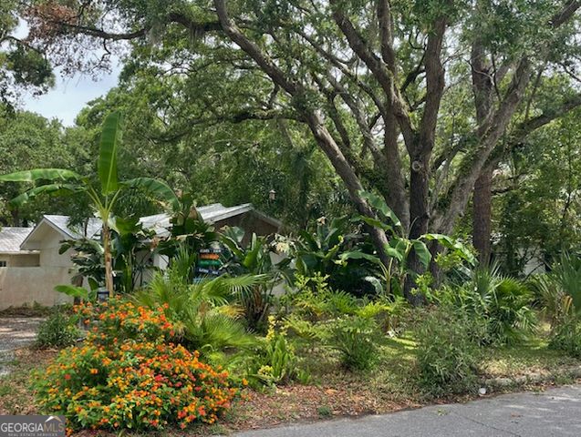 103 Cater Street, St. Simons, GA 31522