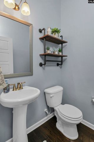 734 AUTUMN SHILOH Drive, Chapin, SC 29036