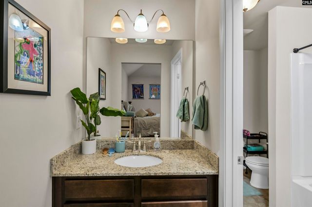 734 AUTUMN SHILOH Drive, Chapin, SC 29036