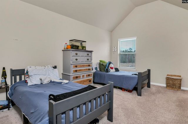 734 AUTUMN SHILOH Drive, Chapin, SC 29036